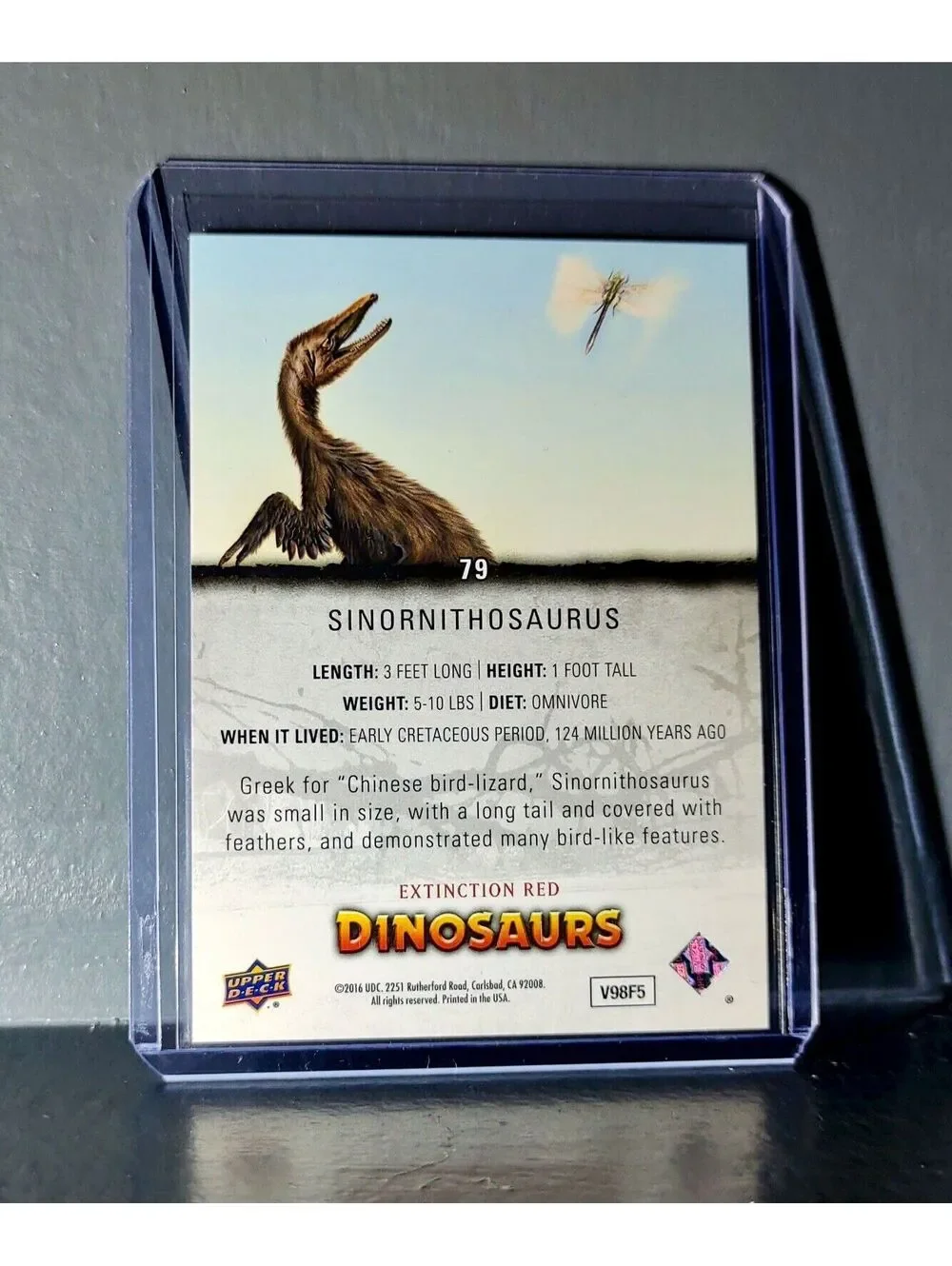 2015 Upper Deck Dinosaurs Sinornithosaurus Extinction Red Parallel #79 Card